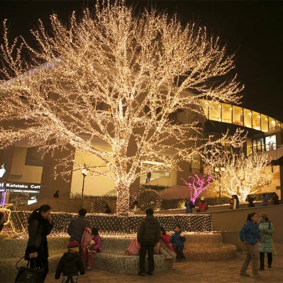 Світлодіодна гірлянда Shine Xmas Lights нитка 800 LED. Тепло-біла., зображення - 1